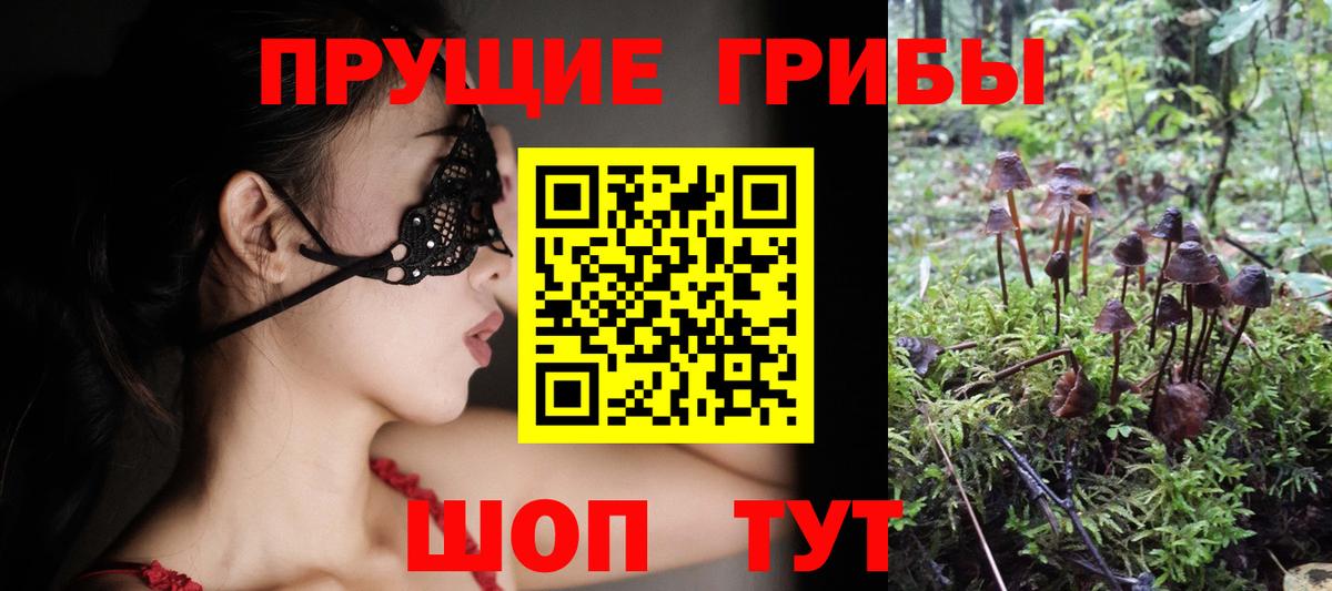 наркошоп  Галлюциногенные грибы Cubensis  Вход с VPN  Владимир 
